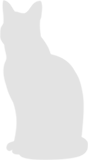 katze sitzend